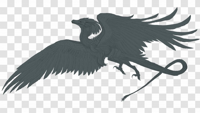 Dragon Legendary Creature Drawing Line Art - Bird Of Prey - Magpie Transparent PNG