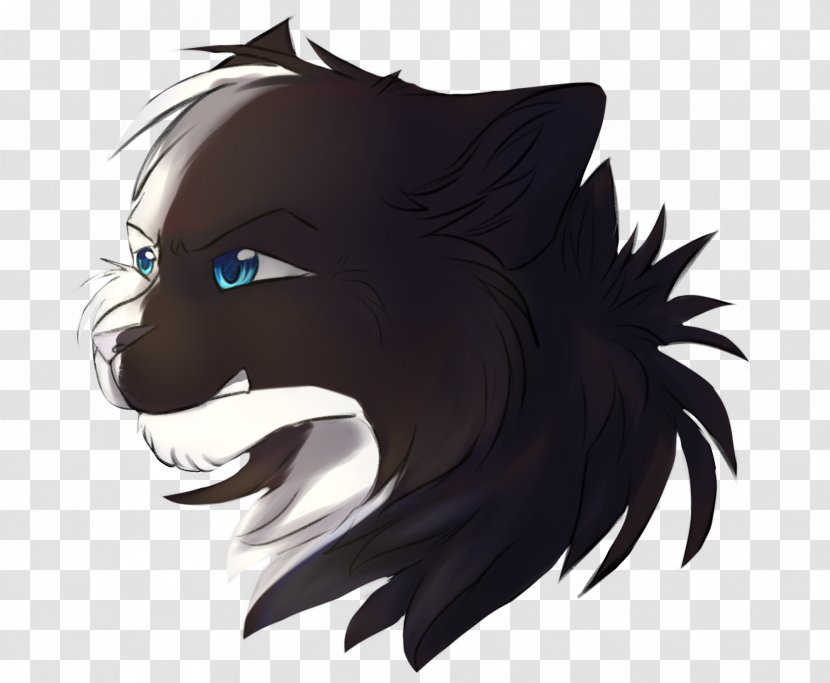 Cat Whiskers Mammal Canidae Commission - Animal - Eucalyptus Transparent PNG