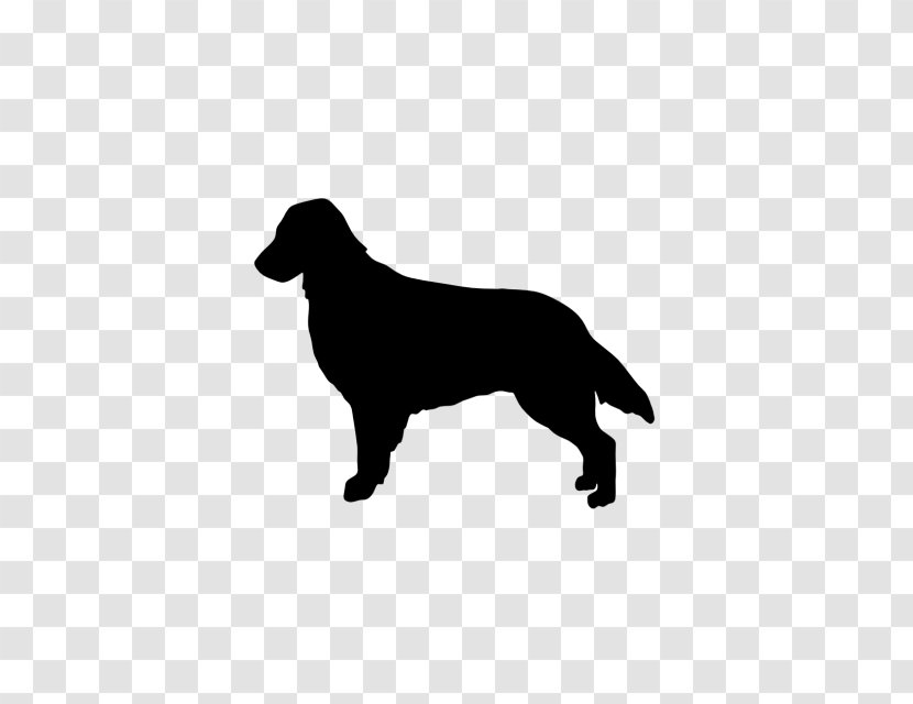 Rottweiler Flat-Coated Retriever Golden Border Collie Labrador - Flatcoated - Flat Coat Transparent PNG