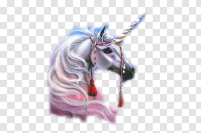 Unicorn Horse Howrse Fairy Tale Pegasus - Snout Transparent PNG