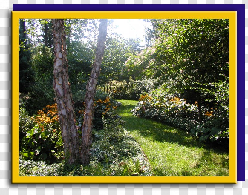 Landscape Design Vegetation Garden Flora - Plantation - Botanical Transparent PNG