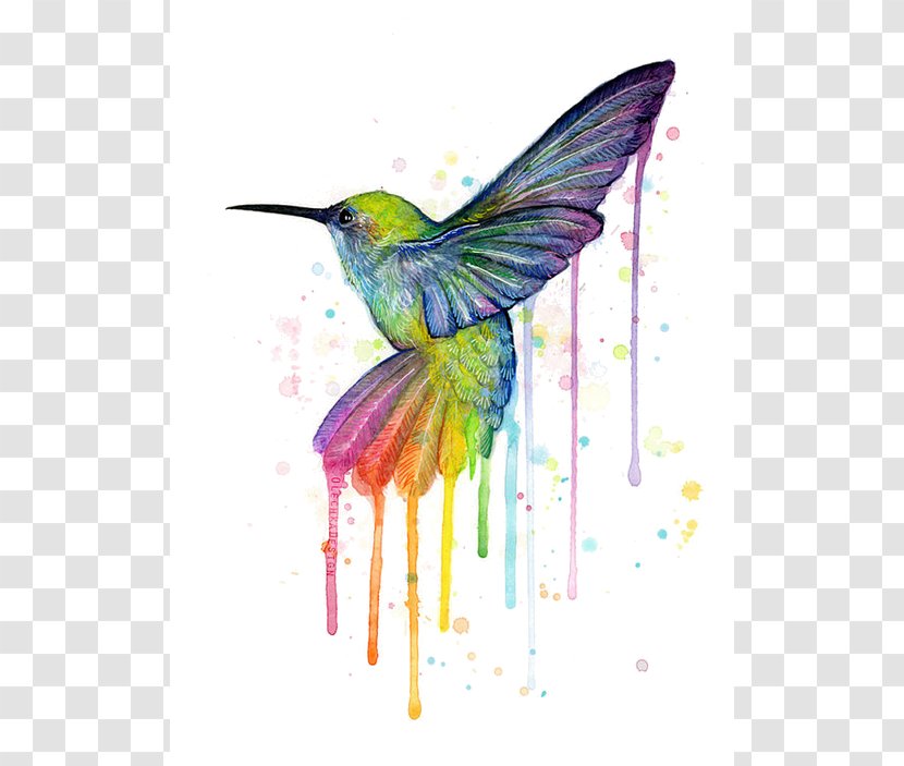 Hummingbird Printmaking Art Painting Canvas Print - Artcom Transparent PNG