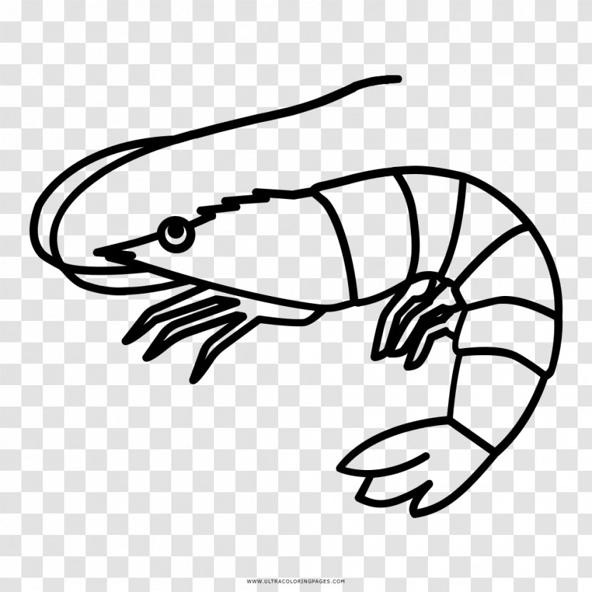 Fish Drawing Shrimp Caridea Clip Art - Prawn Transparent PNG