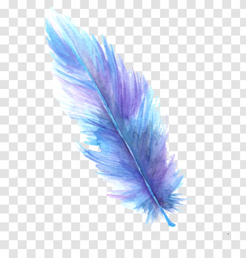 Feather Digital Art Watercolor Painting - Label Transparent PNG