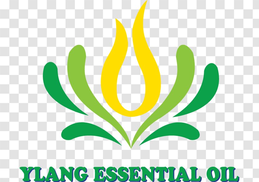 Essential Oil Logo Leaf Ylang-ylang Brand - Flower - Diffusion Transparent PNG