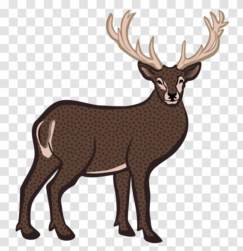 White-tailed Deer Moose Red Reindeer - Forest Transparent PNG