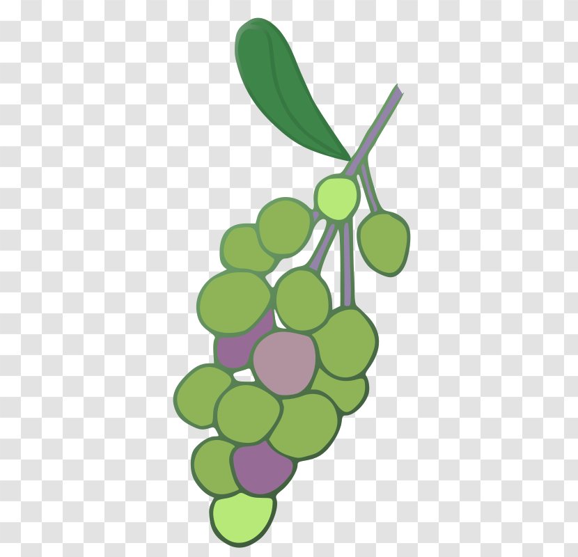 Wine Grape Leaves Concord Shiraz - Plant - Simple Cashew Clusters Transparent PNG