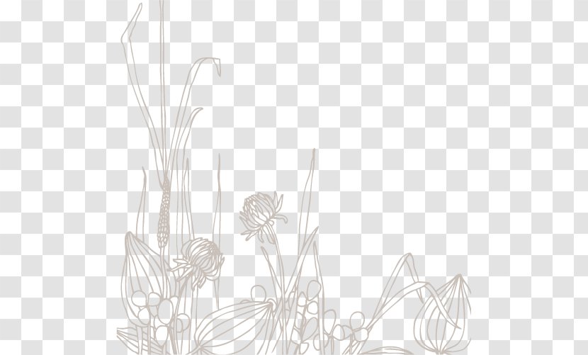 Line Art Drawing - Black And White - Floral Material Transparent PNG