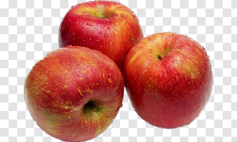 Apple Cider Vinegar Food Fruit Company - Information - Three Fresh Apples Transparent PNG