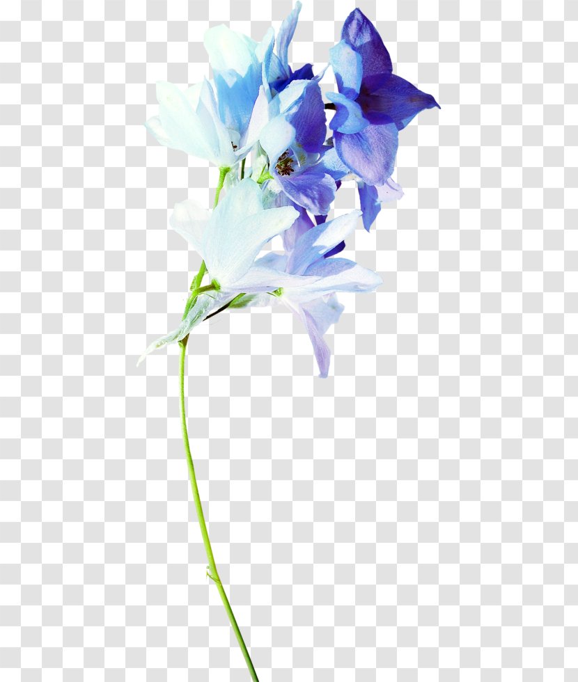 Flower Blue Floral Design Clip Art - Plant Transparent PNG