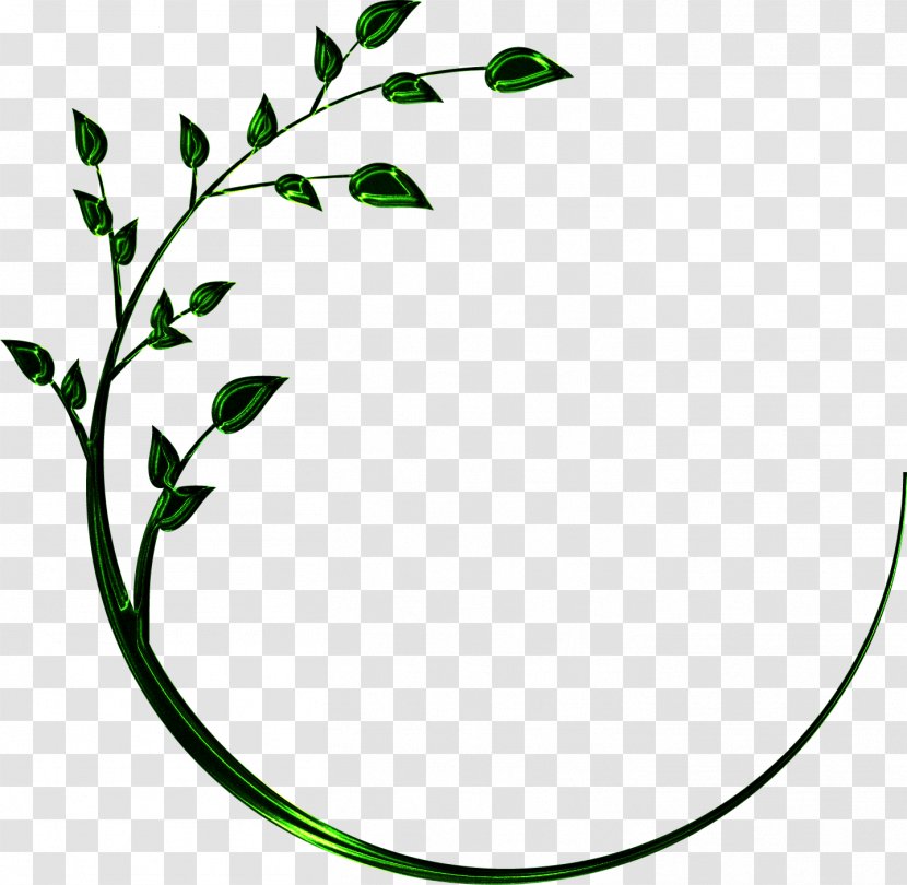 Taj - Email - The Secret Garden Plant Stem Line Leaf Clip ArtOthers Transparent PNG