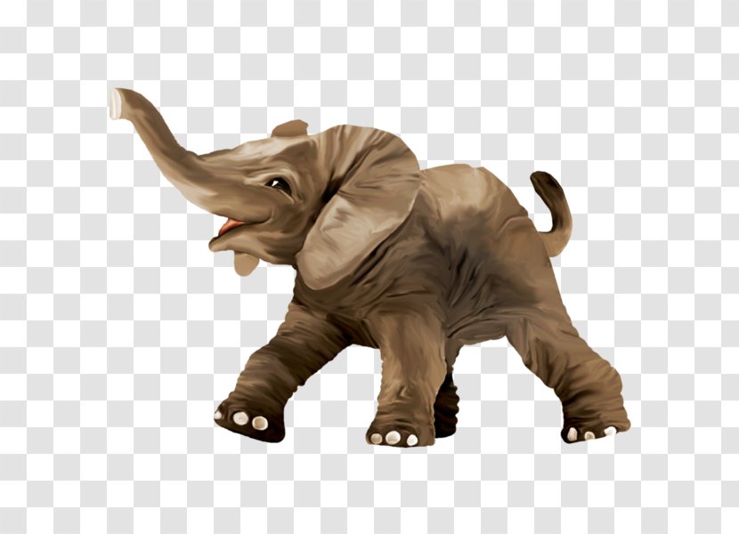 Drawing Clip Art - Safari - Elephant Transparent PNG