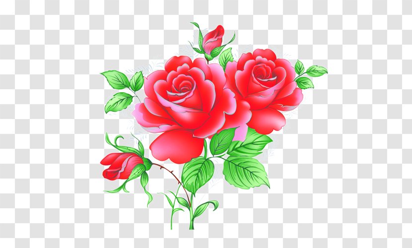 Garden Roses Beach Rose Centifolia Red Petal - Animation - Photos Transparent PNG