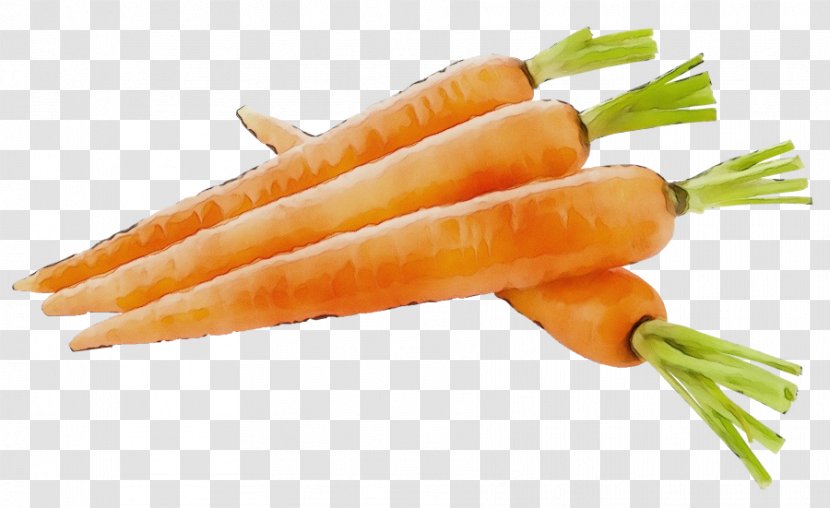 Carrot Vegetable Food Root Baby - Cuisine - Ingredient Transparent PNG