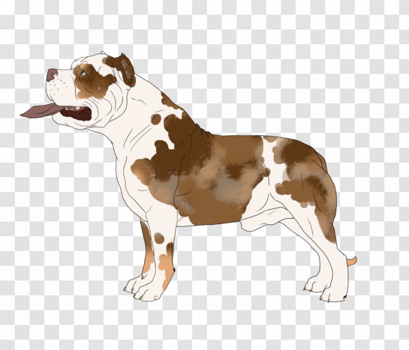 American Staffordshire Terrier Dog Breed Bull Non-sporting Group Snout - Dark Rabbit Has Seven Lives Transparent PNG