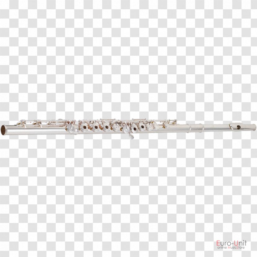 Western Concert Flute Musical Instruments Flageolet Pipe - Cartoon Transparent PNG