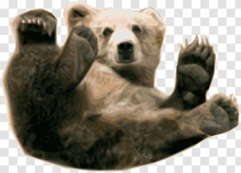 Polar Bear Brown Grizzly - Display Resolution Transparent PNG