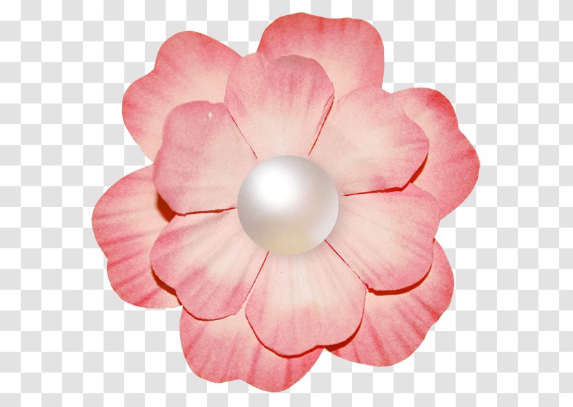 Spring Blog Clip Art - Flower - Liveinternet Transparent PNG