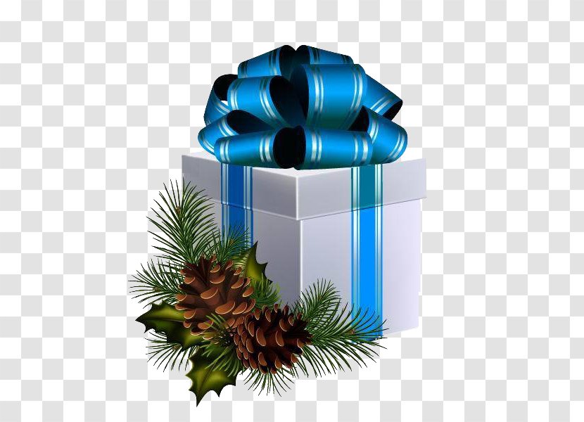Gift Christmas Box Ribbon Illustration - Pine Family Transparent PNG