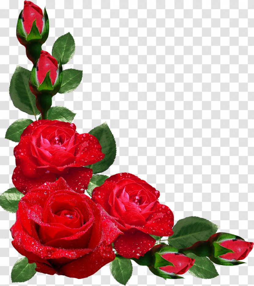 Flower Rose Picture Frames Japanese Border Designs Clip Art - Bouquet Transparent PNG
