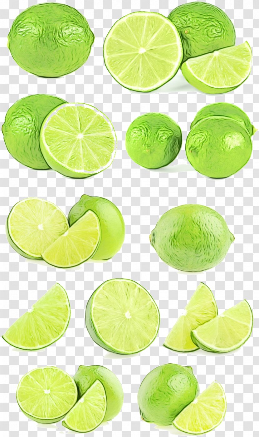 Lime Key Green Persian Sweet Lemon - Wet Ink - Fruit Plant Transparent PNG
