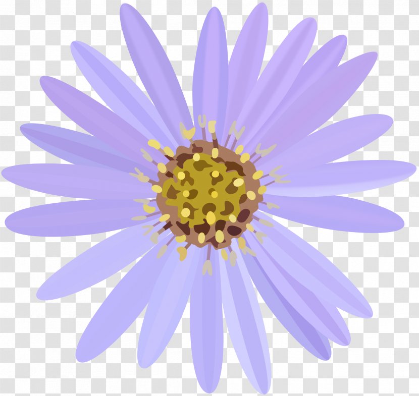 Flowering Plant Annual Oxeye Daisy - Violet Transparent PNG