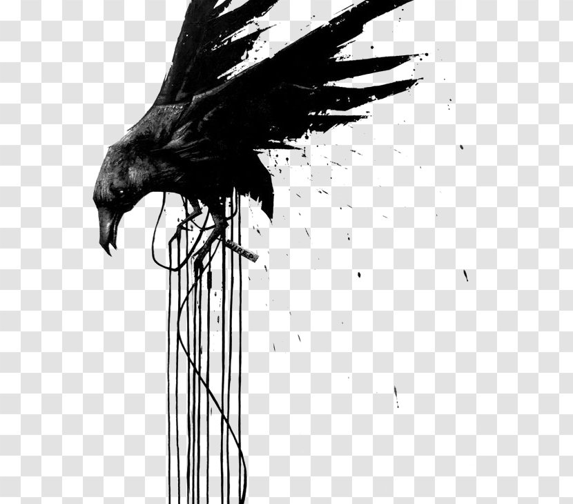 Common Raven Bird Crows - Crow Transparent PNG