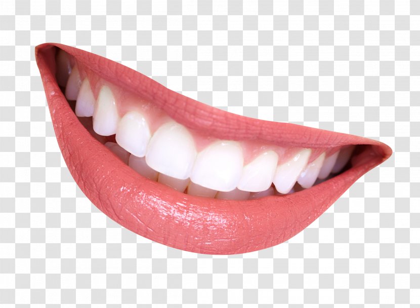 Tooth Smile Lip - Tongue - Mouth Transparent PNG