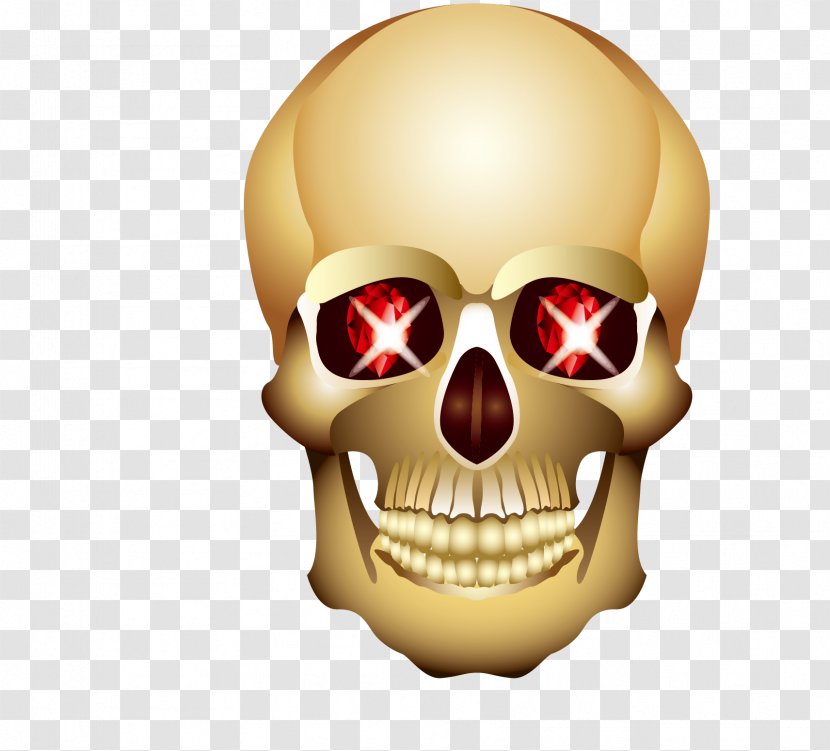 Head Eye Skull - Jaw - Glowing Eyes Of The Cranial Skeleton Transparent PNG