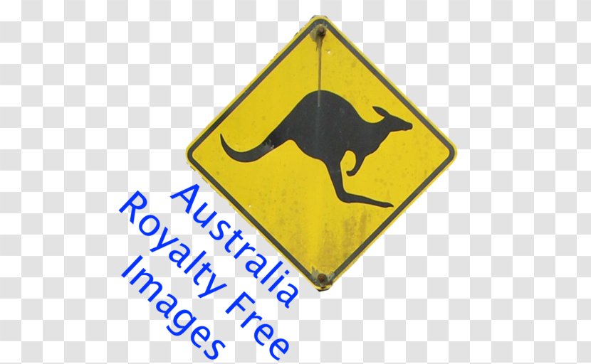 Boxing Kangaroo Australia Koala Stock Photography - Logo Transparent PNG
