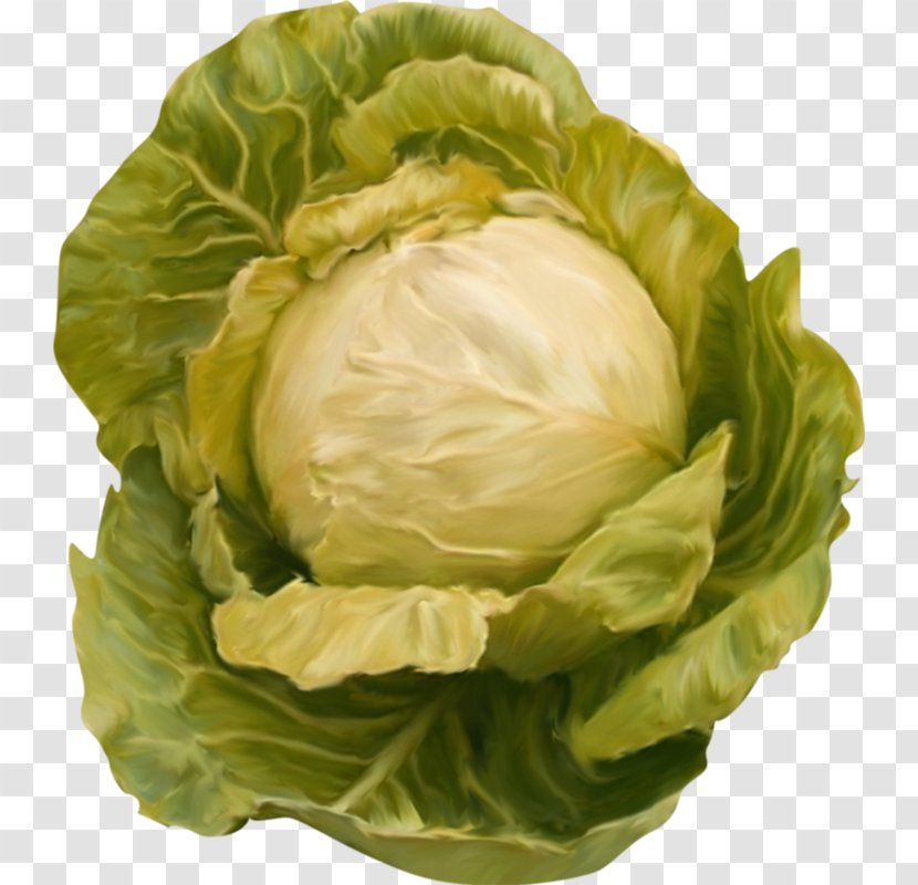 Red Cabbage Cauliflower Clip Art - Leaf Vegetable - Green Transparent PNG