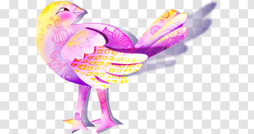 Bird Owl Chicken - Color - Colorful Birds Transparent PNG