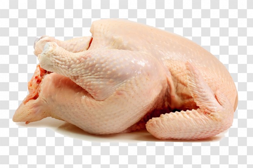 Chicken Broiler Turkey Meat Poultry Transparent PNG
