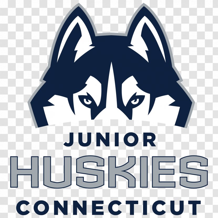 University Of Connecticut Huskies Men's Ice Hockey Women's Basketball Baseball Soccer - Cat Like Mammal - Husky Transparent PNG