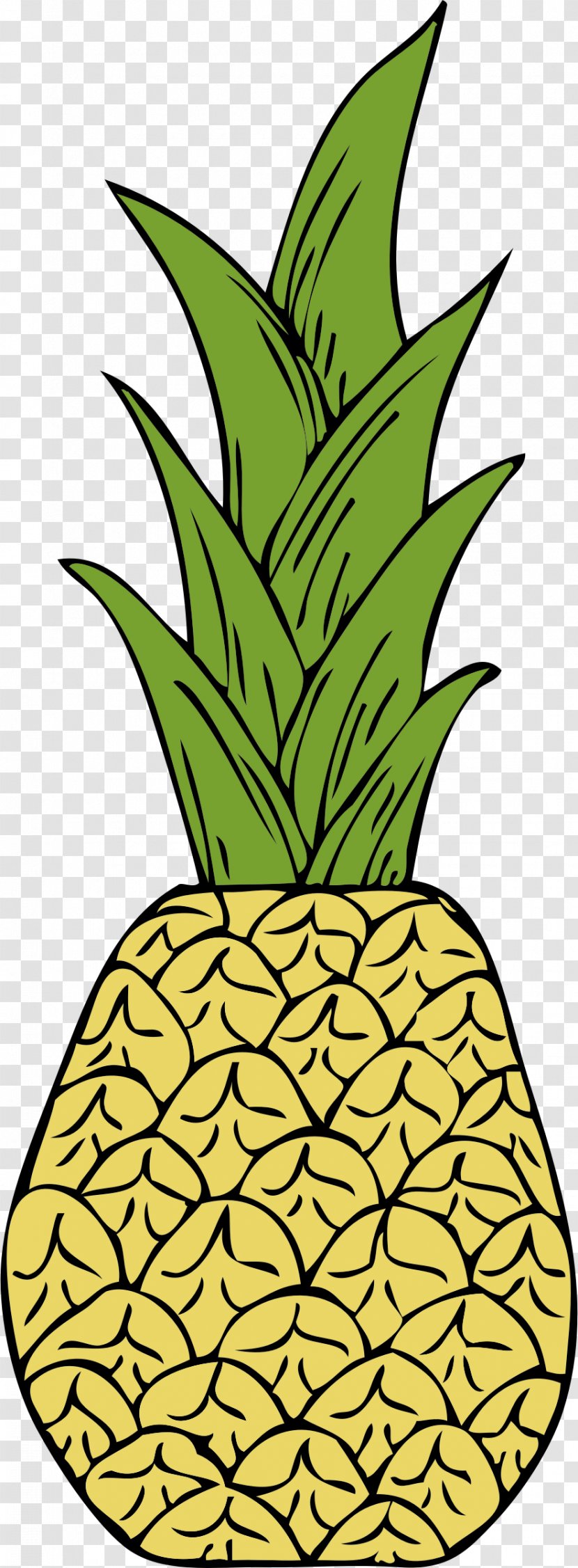 Pineapple Tropical Fruit Clip Art - Plant Transparent PNG