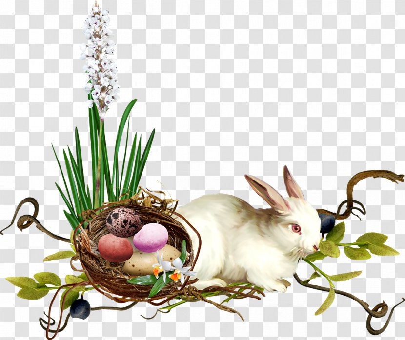 Easter Bunny Domestic Rabbit Hare - Costume Transparent PNG