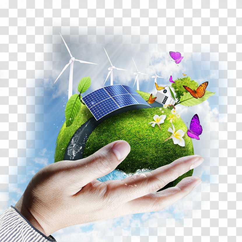 Environmental Consulting Consultant Firm Business - Natural Environment - Hands Holding Green Ecological Image Transparent PNG