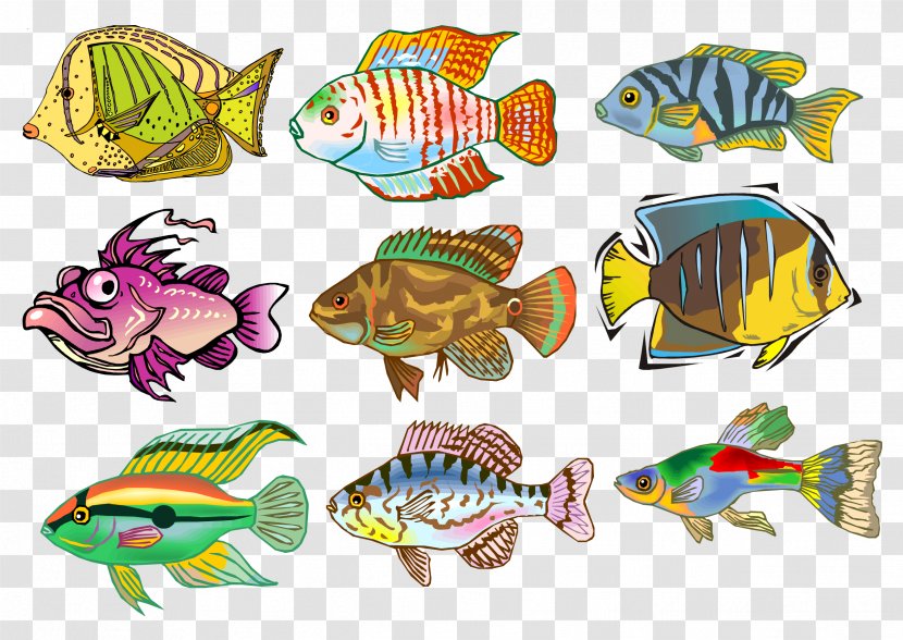 Fish Clip Art - Marine Biology Transparent PNG