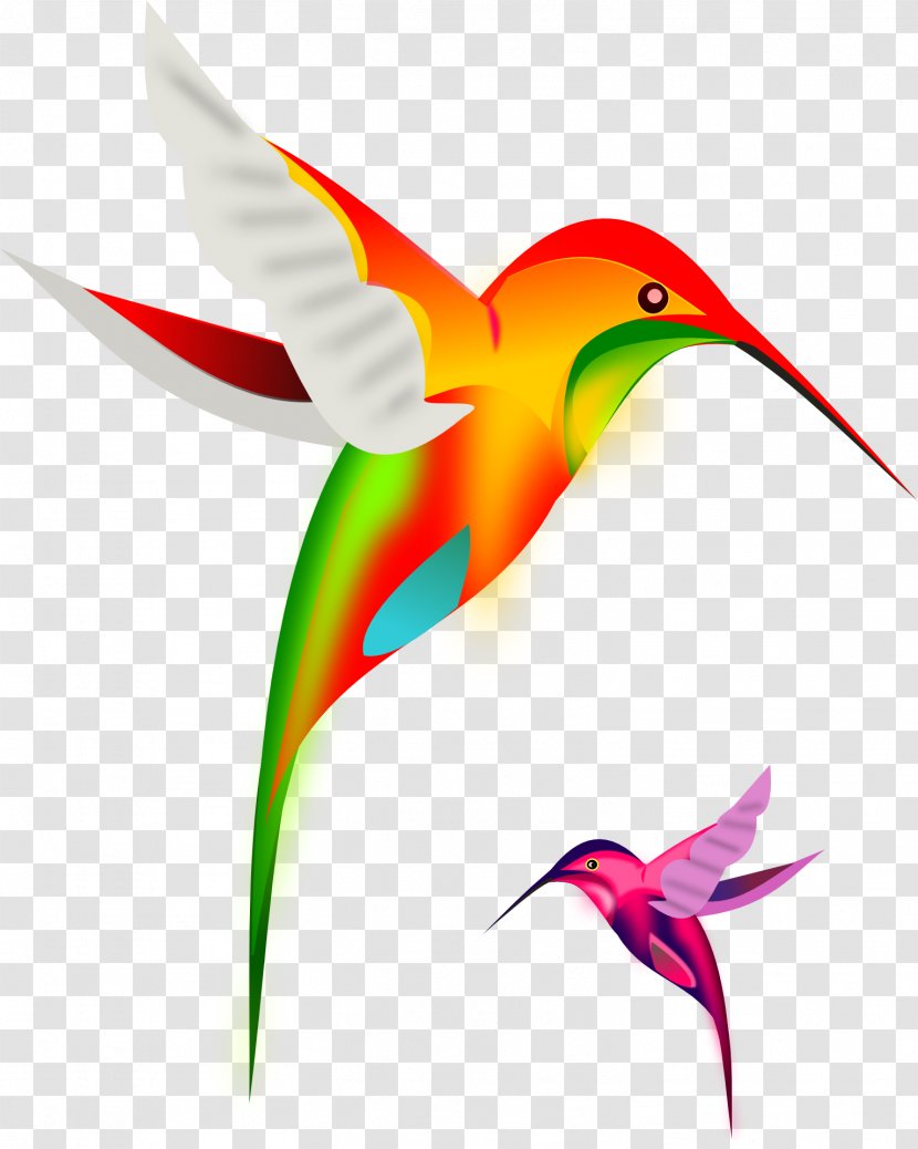 Ruby-throated Hummingbird Clip Art - Royaltyfree - Birds Transparent PNG