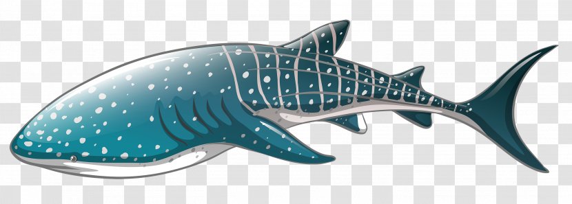 Whale Shark Clip Art - Drawing - Sharks Transparent PNG