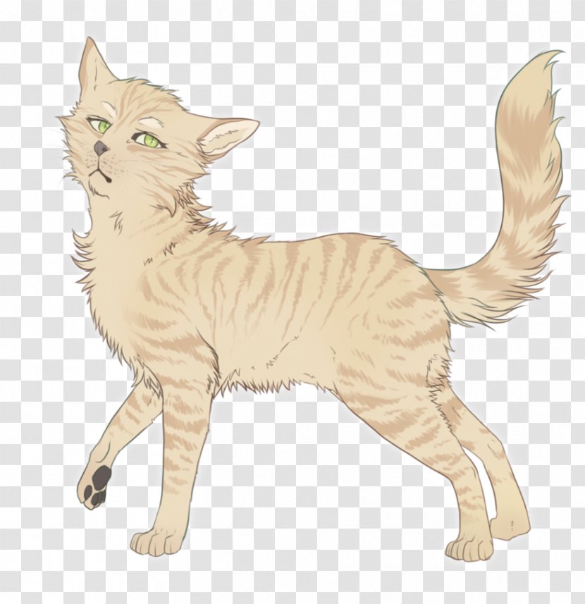 Warriors Sandstorm Firestar Cat Drawing - Dustpelt Transparent PNG
