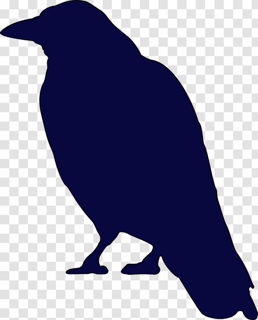 American Crow Silhouette - Beak - Logo Transparent PNG