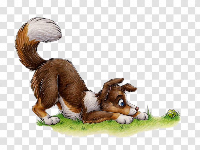 Dog Bear Cat Isolation Play Out Of Position - Cuteness - Tummy Puppy In Search Food Transparent PNG