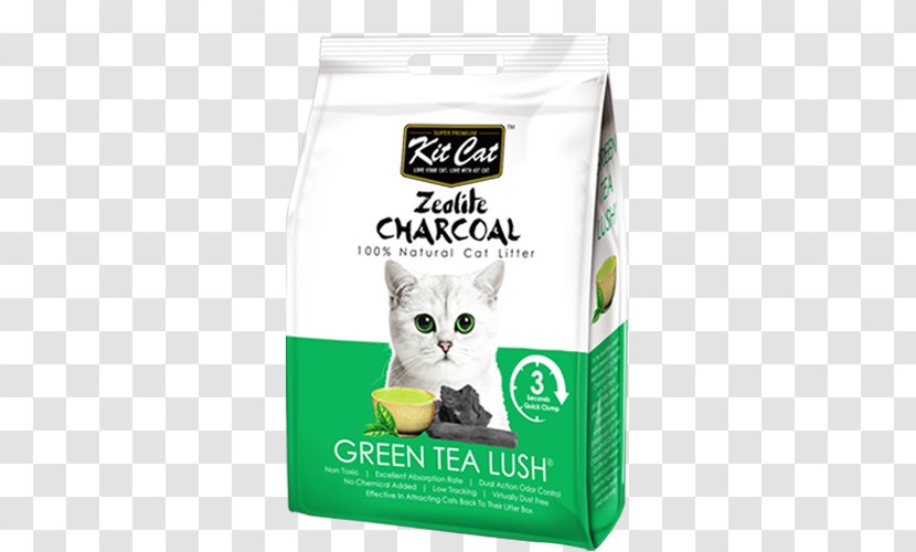 Cat Food Litter Trays Dog Pet - Tabby Transparent PNG