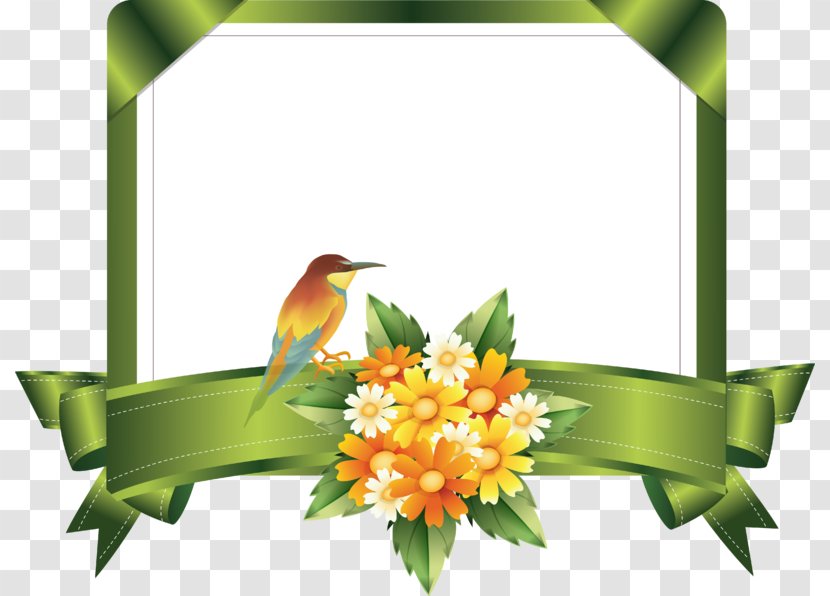 Kard - Pollinator - Flora Transparent PNG