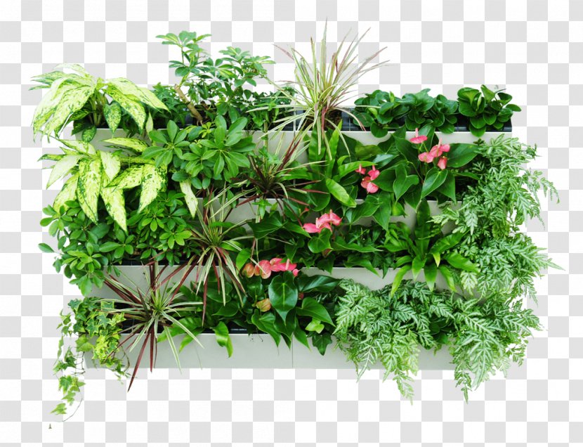 Green Wall Gardening Vertical Gardens Hydroponics - Plastic - Window Transparent PNG