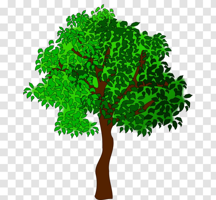 Clip Art - Plant - Woody Transparent PNG