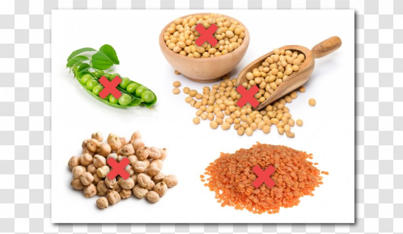 Soybean Agriculture Food Product Vegetarian Cuisine - Legumes - Dish Transparent PNG