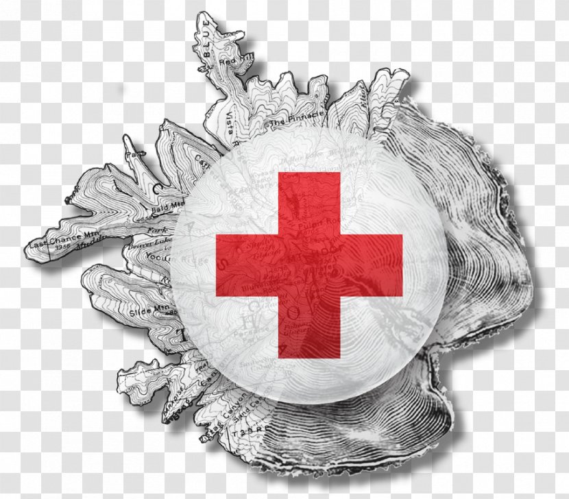 American Red Cross Central Society Of China Organization International Committee The - Donation Transparent PNG