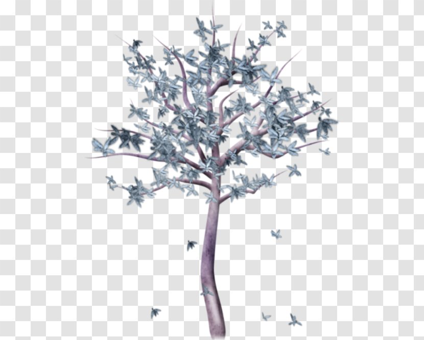 Tree Centerblog Fir Arecaceae Branch - Plant Stem Transparent PNG